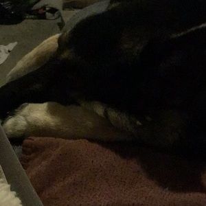 Meet your Posher, Evelyn